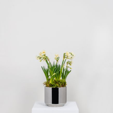 Polished Marine SS (316) 16cm Newlyn Pot