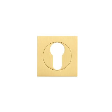 Zoo Hardware Square euro profile escutcheon - Favo Satin Brass