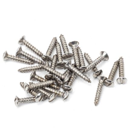 Stainless Steel 4x¾" Countersunk Raised Head Screws (25)