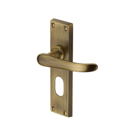 Heritage Brass Door Handle for Oval Profile Plate Windsor Design Antique Brass finish