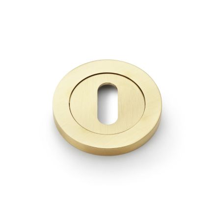 Alexander & Wilks - Concealed Fix Escutcheon - PVD Satin Brass - Standard Profile
