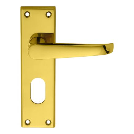 Victorian Lever On Oval Lock Backplate - Polished Brass