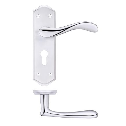 Zoo Hardware Project Asti lever on euro backplate - Satin