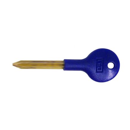 Security Door Bolt Key - Blue Nylon