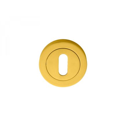 Standard Profile Escutcheon  - Polished Brass