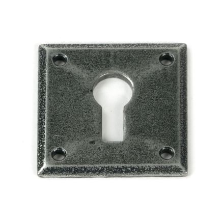 Pewter Avon Escutcheon