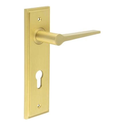 Knightbridge Door Handle Din Euro Backplate Satin Brass - By Frelan Hardware - BUR20KIT246