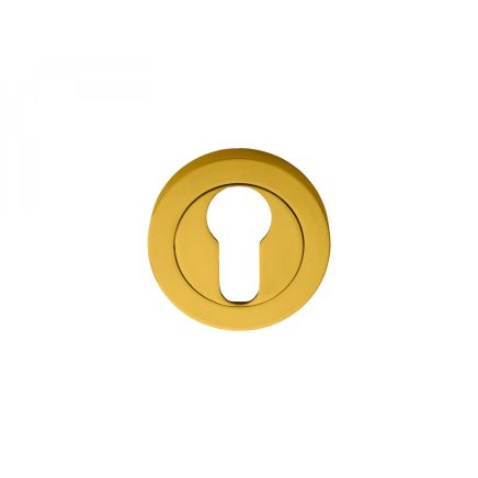 Euro Profile Escutcheon  - Polished Brass