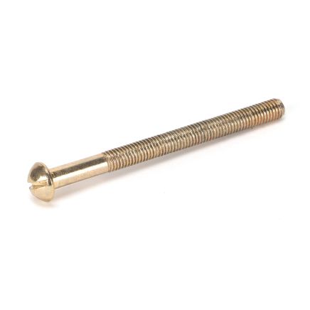 Polished Brass SS M5 x 64mm Male Bolt (1)