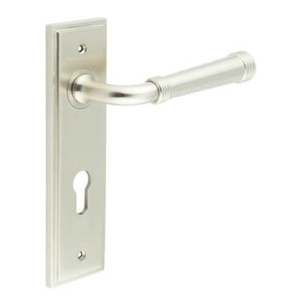 Highgate Door Handle Din Euro Backplate Satin Nickel - By Frelan Hardware - BUR35KIT324