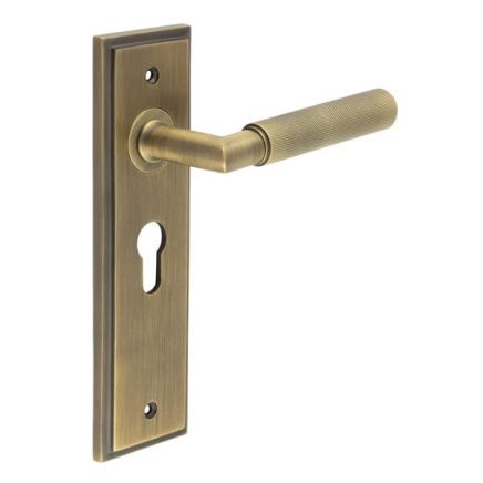 Piccadilly Door Handle Euro Backplate Antique Brass - By Frelan Hardware - BUR40KIT11