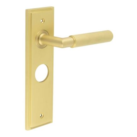 Piccadilly Door Handle Bathroom Backplate Satin Brass - By Frelan Hardware - BUR40KIT244