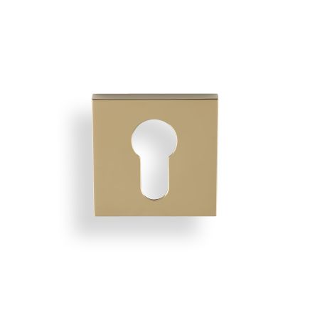 Valli Euro Profile Push-on Square Rosette Escutcheon - Polished Brass PVD