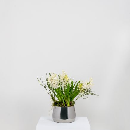 Polished Marine SS (316) 12.5cm Hepworth Pot