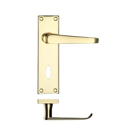 Zoo Hardware Project Victorian flat lever on lock backplate 150 x 40mm - Electro Brass