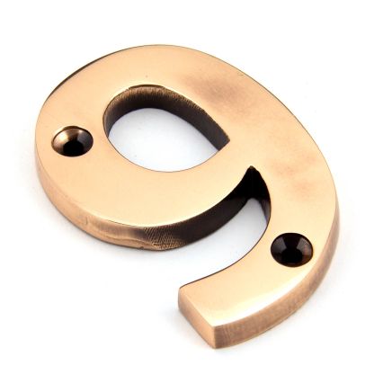 Polished Bronze Numeral 9