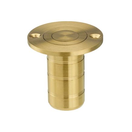 Zoo Hardware Dust Socket for Flush Bolts - Wood 20mm dia. x 38mm - PVD Satin Brass