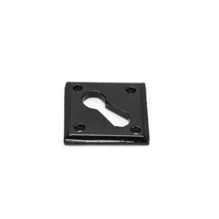 Black Diamond Escutcheon