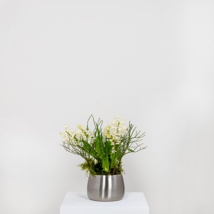 Satin Marine SS (316) 12.5cm Hepworth Pot