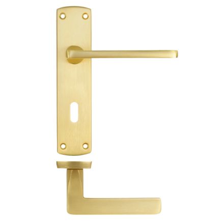 Zoo Hardware Leon lever on lock backplate - Satin Brass