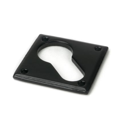 Black Diamond Euro Escutcheon