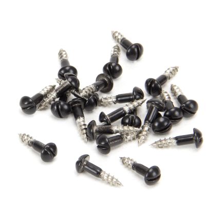 Black SS 3.0 x 12 Roundhead Screws (25)