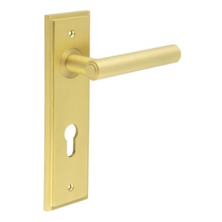 Richmond Door Handle Din Euro Backplate Satin Brass - By Frelan Hardware - BUR45KIT246