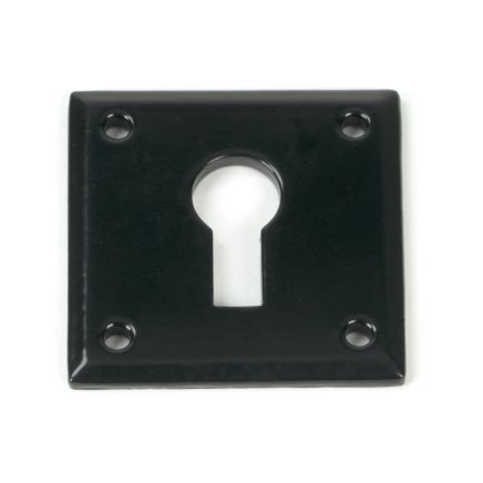 Black Avon Escutcheon