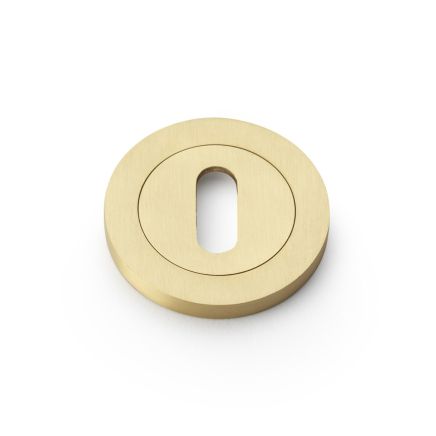 Alexander & Wilks - Concealed Fix Escutcheon Standard Profile - Satin Brass
