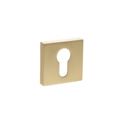 STATUS Euro Escutcheons on S4 Square Rose - Satin Brass (Pair)