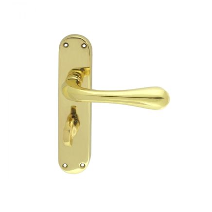 Astro Lever On Wc Backplate - Polished Brass