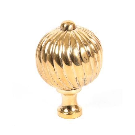 Polished Brass Spiral Cabinet Knob - Large