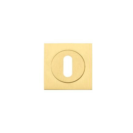 Zoo Hardware Square standard profile escutcheon - Favo Satin Brass