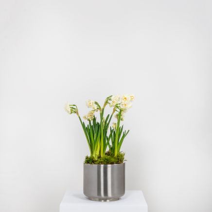Satin Marine SS (316) 16cm Newlyn Pot