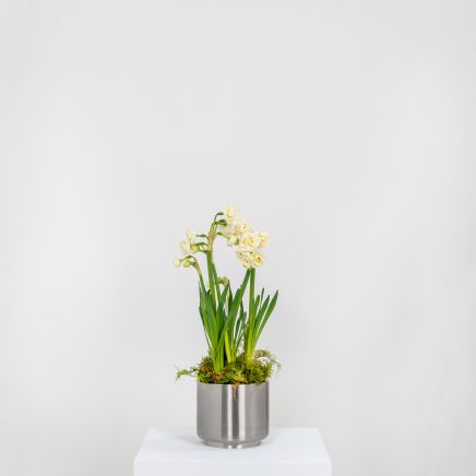 Satin Marine SS (316) 12.5cm Newlyn Pot